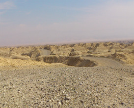 פסטיבל סרטים בערבה, תיירות ערבה, טיולי משפחות בדרום